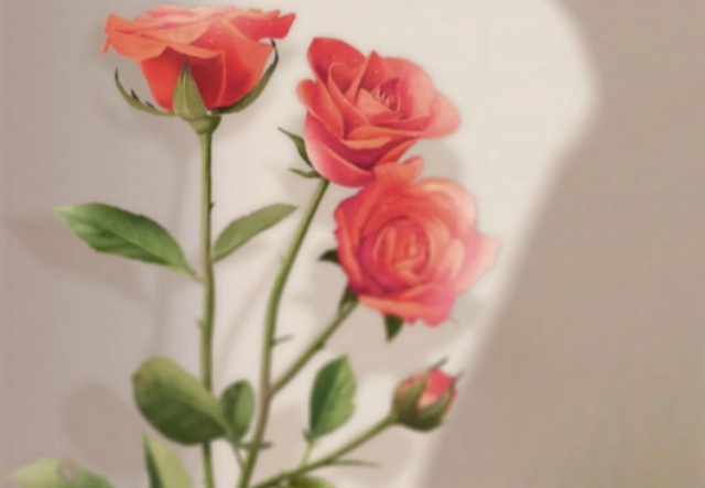 祝天下女神們節(jié)日快樂?。。? ></a>
                        <a href=